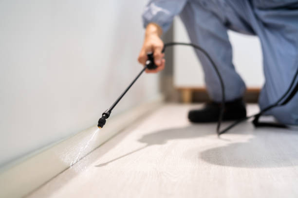 Certified termite inspector examining foundation in Westwood Lakes